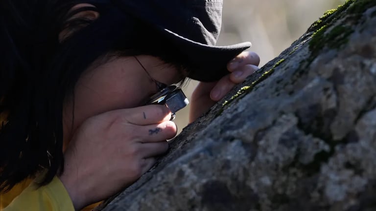 Amateur Mycologists Drive Fungal Conservation Efforts Amid Growing Ecological and Economic Significance