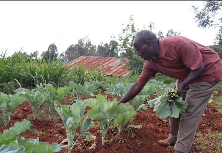 Murang'a County Leads Africa in Agroecology, Boosting Yields and Global Recognition