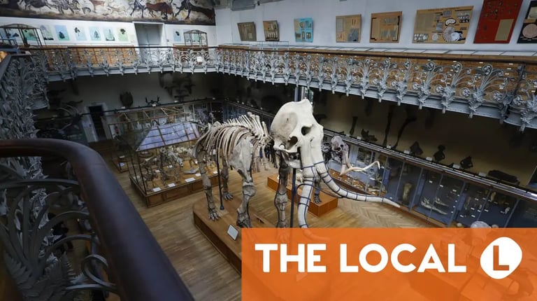 Organized Heist at Paris Museum: 6kg of Gold Stolen in High-Tech Theft