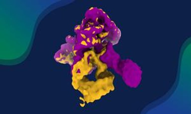 Breakthrough Study Unveils Dynamic RNA Self-Assembly, Paving Way for AI-Driven Drug Discovery