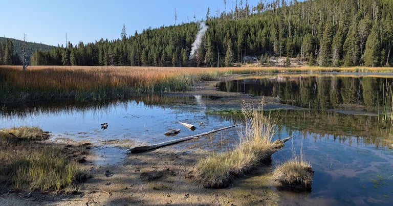 New Thermal Steam Vent Emerges in Yellowstone, Visible from Nearby Road