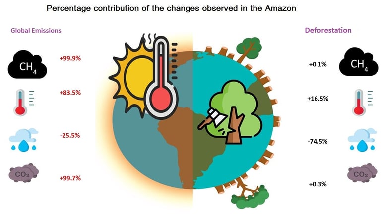 Amazon Faces Climate Crisis: Deforestation Drives 74.5% Rainfall Loss, 16.5% Temperature Surge