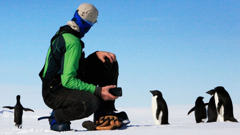 Antarctic Ice Loss Accelerates: Scientists Warn of Catastrophic Sea-Level Rise by 2100