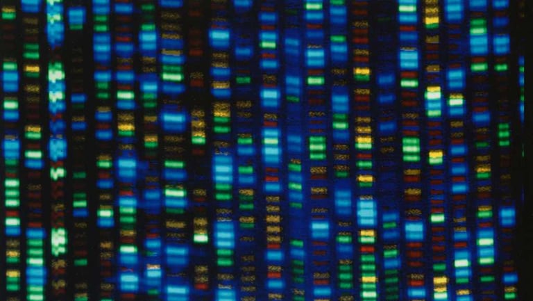 New Gene-Editing Technique Shows Promise in Lowering Cholesterol, But Long-Term Safety Remains Unclear