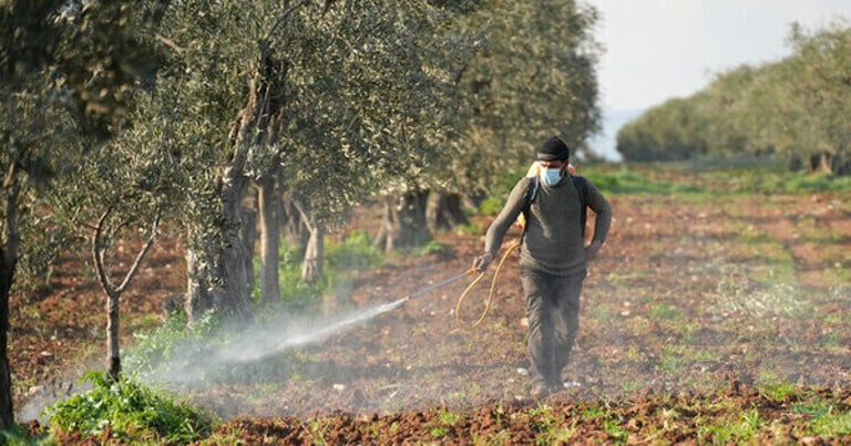 Global Pesticide Poisoning Crisis: 46% of Farmers Affected, Urgent Call for Safer Alternatives