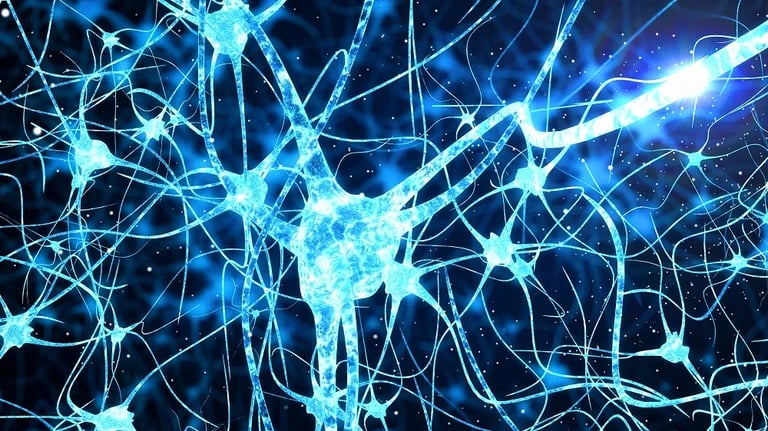 Senolytic Drug ABT-737 Reverses Cognitive Decline in Mice by Targeting Senescent Microglia