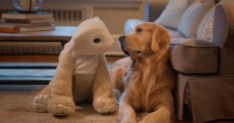 Familiar: The AI Robot Redefining Emotional Companionship with Privacy-Focused Design