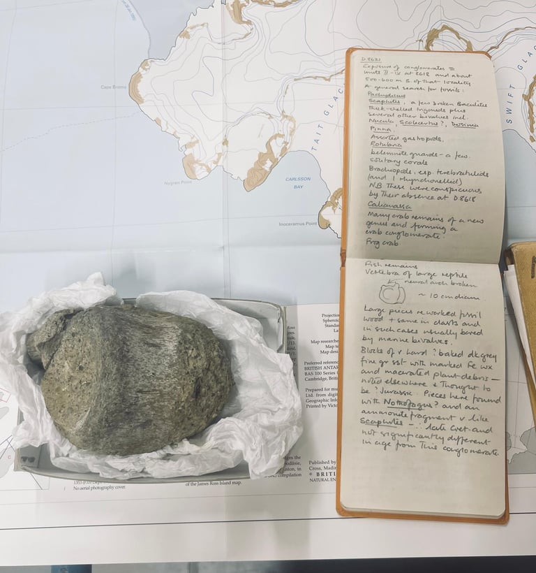 First Dinosaur Fossil Unearthed in Antarctica Reveals Ancient Forested Habitat