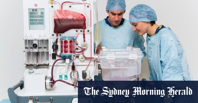 Sydney Scientists Extend Life of Human Livers Outside Body, Boosting Gene Therapy Research
