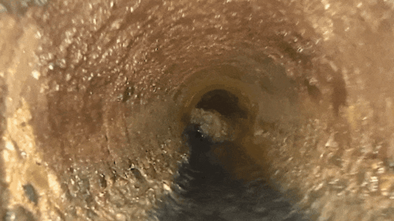 Brisbane Battles Fatberg Surge, Intensifies Public Awareness and Infrastructure Upgrades