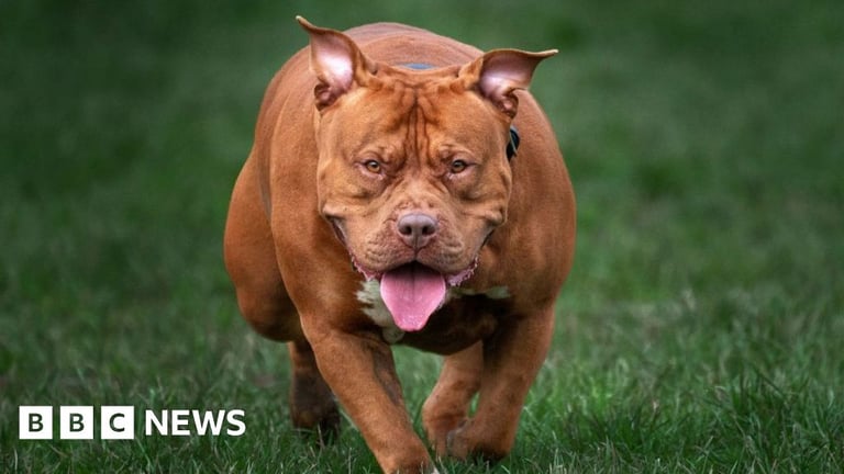 XL Bully Dog Rampage in London Leads to Arrests and Outcry for Legislation Enforcement