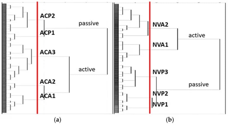 Study Reveals Adaptive Behaviors Key to Thermal Comfort in Indonesia's Hot-Humid Climate