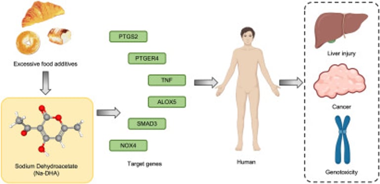 Sodium Dehydroacetate Ban: Health Risks Prompt 2025 Food Safety Action