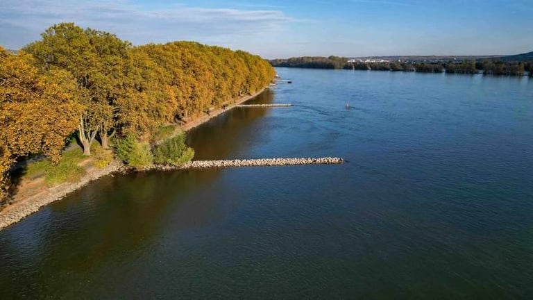 Rhine Drought Crisis: Logistics Costs Soar as River Traffic Halts, Fuel Prices Spike