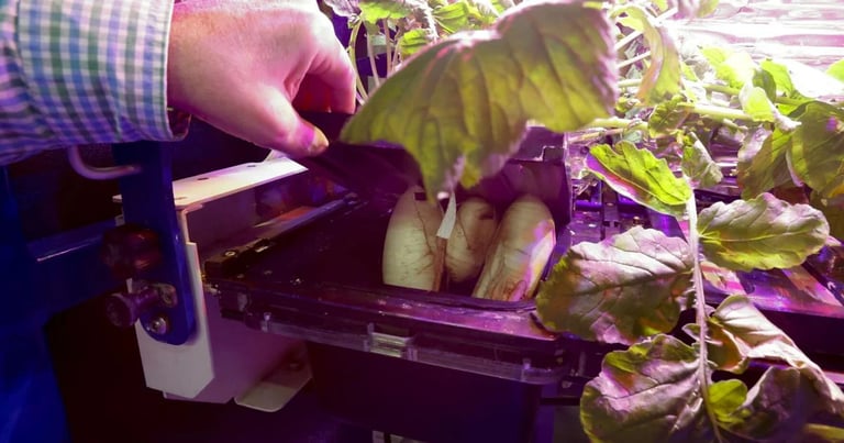 Sierra Space's Astro Garden Revolutionizes Space Farming with Zero-Gravity Vegetable Cultivation