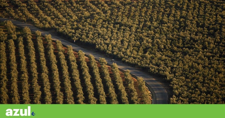 EU's CAP Reform Sparks Backlash: Critics Warn of Weakened Environmental Protections in Farming