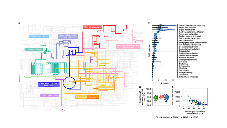 New Study Reveals Eukaryotes' Complex Multi-Source Origins, Challenging Single-Endosymbiosis Theory