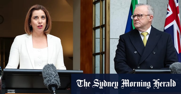 Google Cancels Parliament Concert Amid New Australian Law Banning YouTube for Under-16s