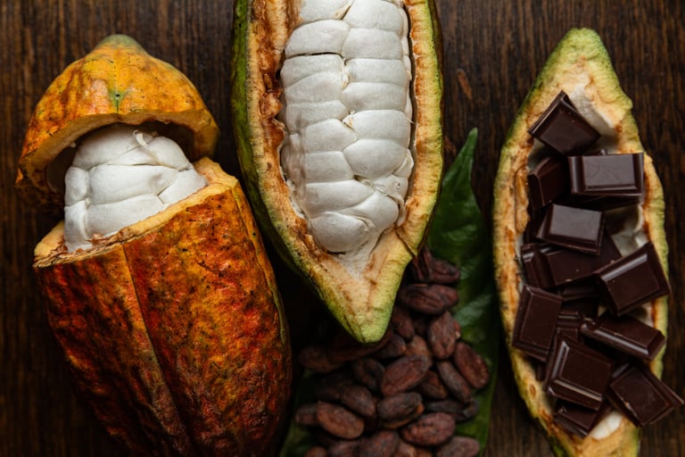 Revolutionizing Chocolate: Science-Driven Fermentation Promises Consistent, High-Quality Cocoa Flavor