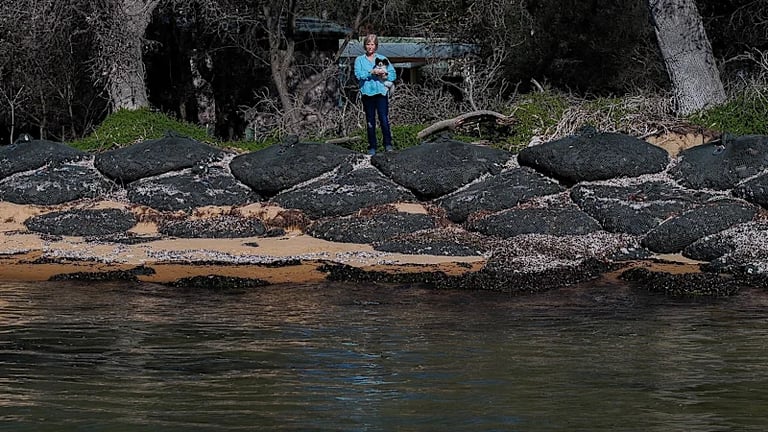Phillip Island Residents Secure Major Land Tax Reductions Amid Overvaluation Dispute
