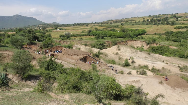 New Evidence Reveals Ancient Humans Transported Stones Over 8 Miles 2.6 Million Years Ago