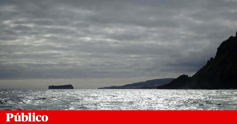 International Sting Seizes 1.7 Tonnes of Cocaine on Narco-Sub Bound for Europe