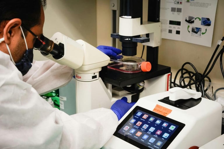 Breakthrough in Biodegradable Plastics: P-Life's Microbial Magic Promises a Greener Future