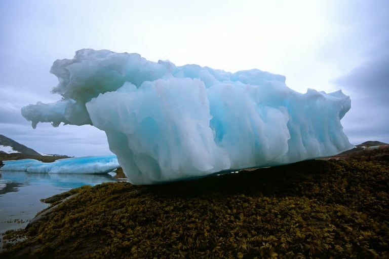 Giant Arctic Viruses Key to Slowing Ice Melt, Impact Climate Models
