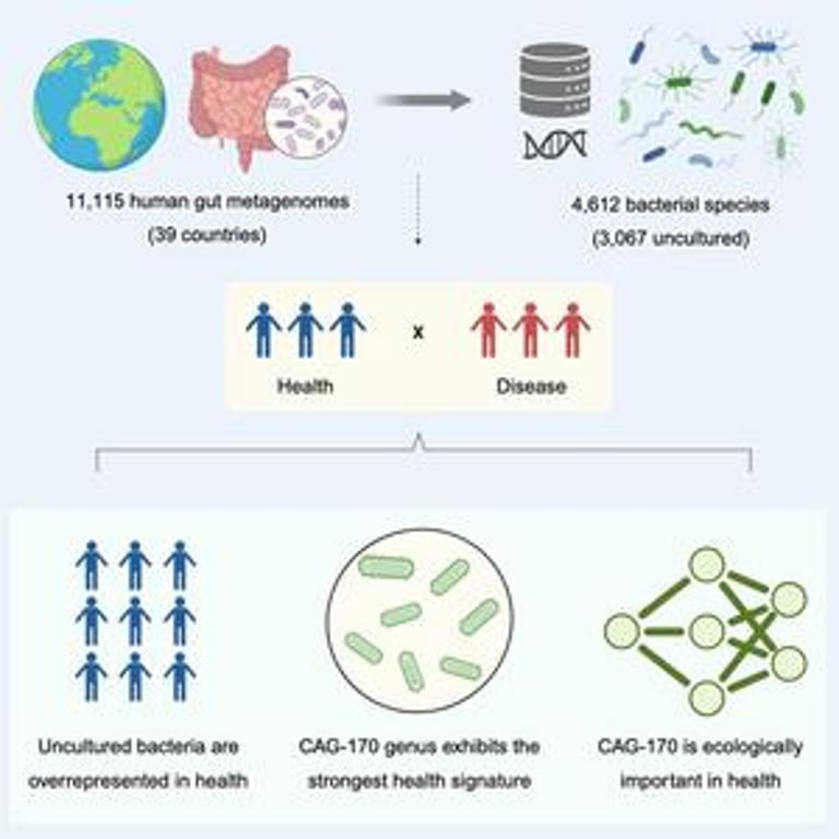 CAG-170: The Unsung Gut Guardian Revealing Secrets to a Healthy Microbiome