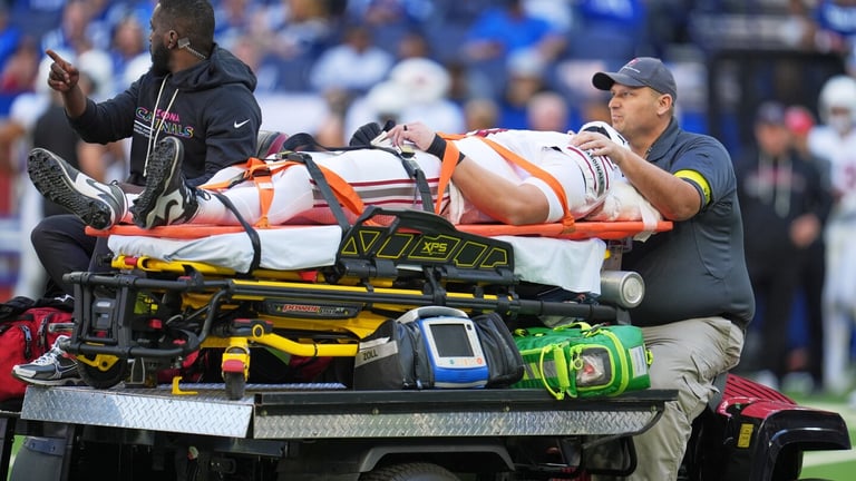 Cardinals' Travis Vokolek Suffers Neck Injury; Leaves Field Alert After Scare