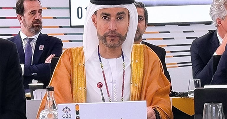 UAE Champions Global Economic Stability at G20 Summit, Focuses on Africa's Growth and Tax Reforms