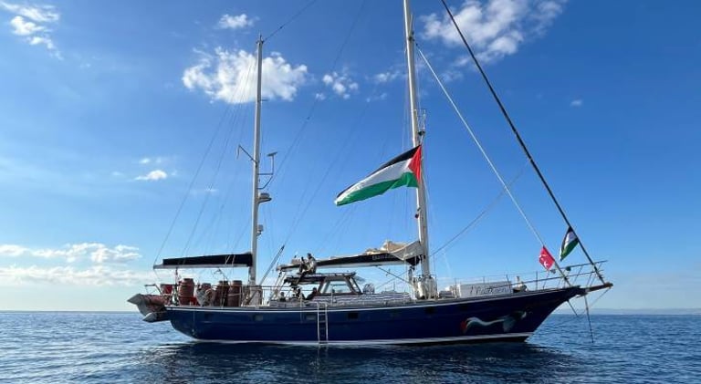 Greta Thunberg Joins Global Flotilla to Break Gaza Blockade, Deliver Crucial Humanitarian Aid