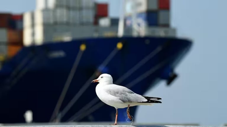 Australia Launches Sovereign Maritime Fleet with ANL Kokoda, Aiming for National Security Boost