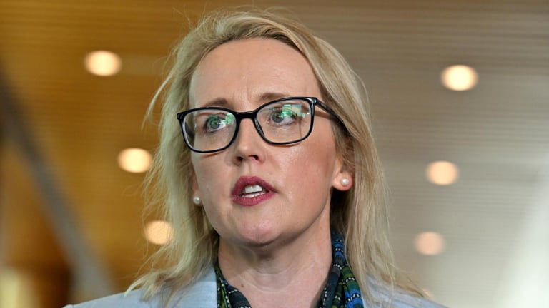 Former Chief of Staff Alleges Bullying, Forced Out After Complaints; Calls for Parliamentary Reform
