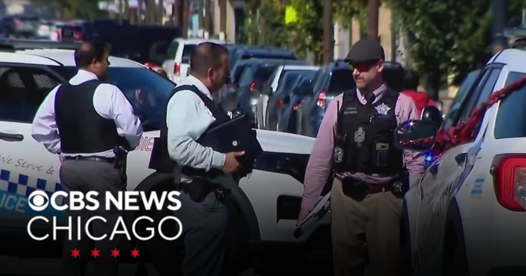 Chicago Woman Charged with Murder in Stabbing Death of 7-Year-Old Girl on South Side