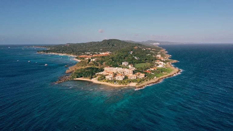 Prospera: The Rise of Roatán's Experimental Gene Therapy Hub for the Wealthy