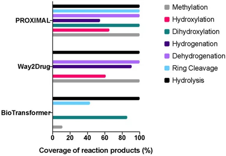 Gut Bacteria Transform Flavonoids: Unlocking New Health Benefits and Dietary Insights