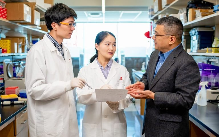 ZMYND8: Key to T-Cell Activation, Offering New Hope for Cancer and Chronic Infections