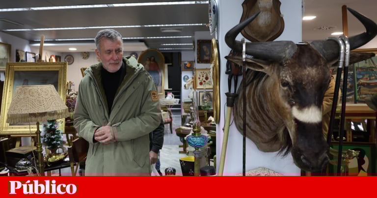 Admiral Gouveia e Melo Under Investigation: 57 Navy Contracts Scrutinized Amid Presidential Bid