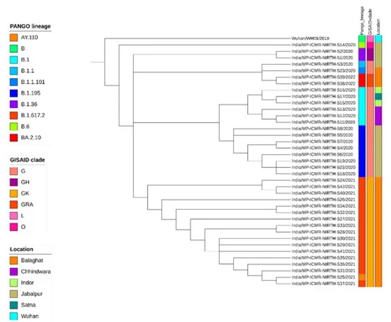 New Study Reveals SARS-CoV-2 Variants' Cross-Species Transmission and Vaccine Evasion Risks