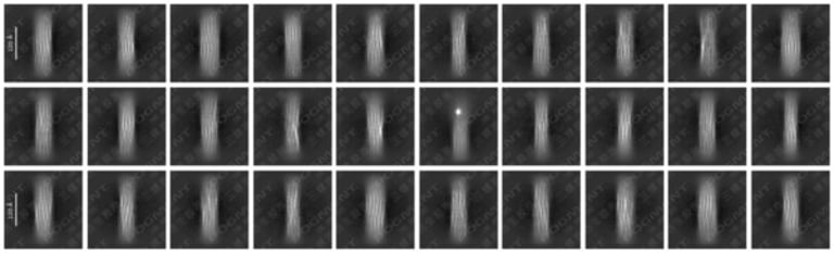 LivingPhoenix's POGMENT Collagen Revolutionizes Bioengineering with Major Scientific Recognition and Global Expansion