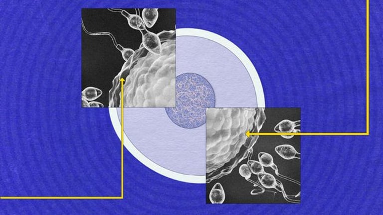 Unlocking the Mysteries of Sperm: New Insights into Male Fertility and Global Decline