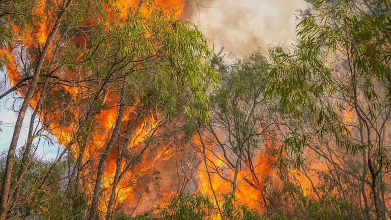 Western Australia Faces Severe Heatwave and Uncontained Bushfires: Urgent Warnings Issued