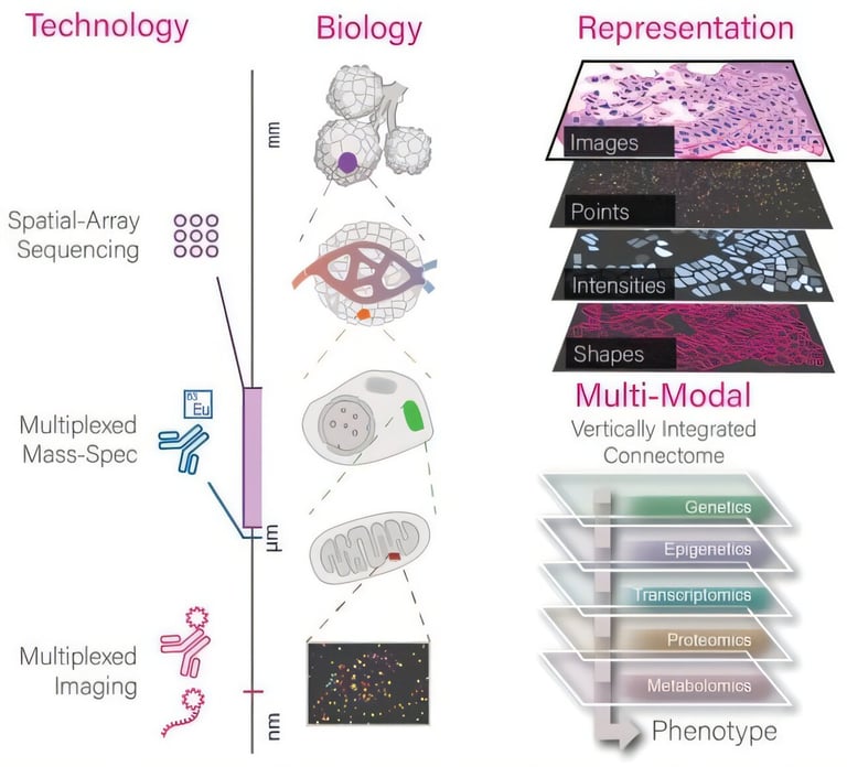 Revolutionary Giotto Suite Transforms Spatial Omics Research with Open-Access, Scalable Analysis Platform