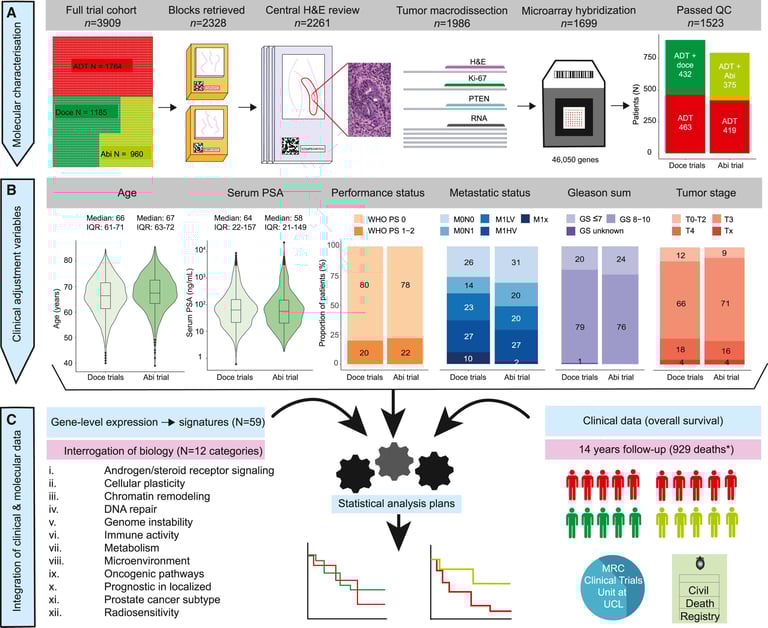 UCL Study: New Genomic Test Predicts Chemotherapy Success in Metastatic Prostate Cancer