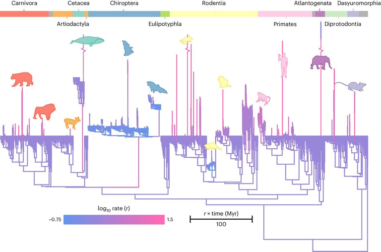 Study Reveals Big Brains May Have Evolved by Accident, Challenging Long-Held Beliefs