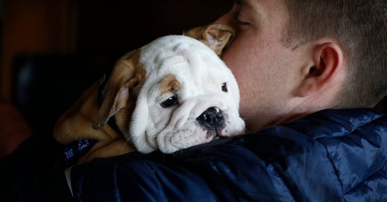Study Confirms: Human Touch Reduces Pain and Boosts Mental Health