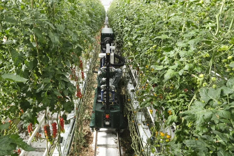 Four Growers Secures $9M to Revolutionize Greenhouse Farming with AI-Powered Robots