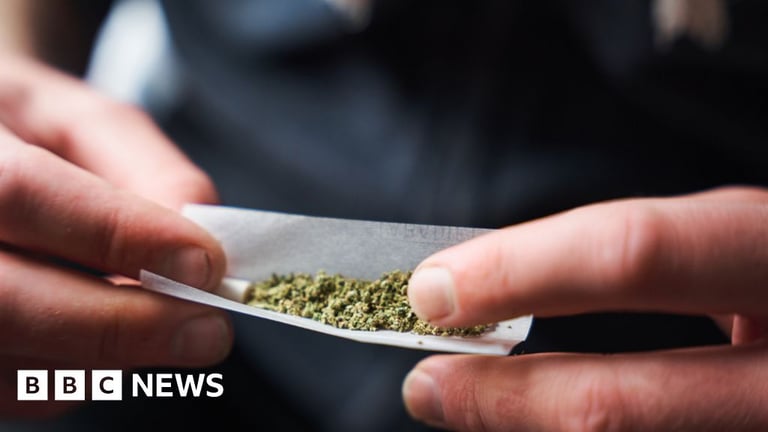 Hessen Greenlights Cannabis: New Law Allows Possession and Cultivation Amid Concerns
