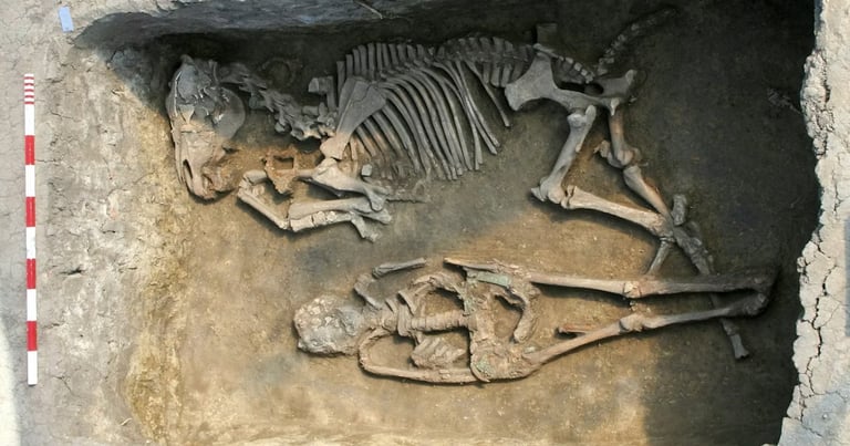 Revealing Ancient Avar Society: DNA Study Transforms Understanding of European Ancestors